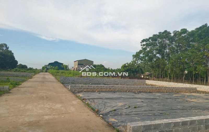 115 m FULL THỔ CƯ GIÁ NHỈNH 2 TỶ  BẠCH THẠCH,PHÚ CÁT ,HÀ NỘI