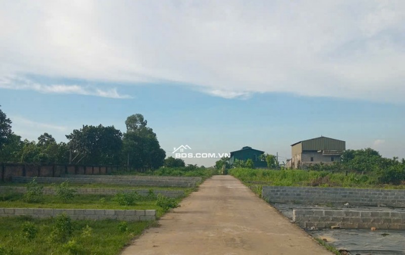 115 m FULL THỔ CƯ GIÁ NHỈNH 2 TỶ  BẠCH THẠCH,PHÚ CÁT ,HÀ NỘI