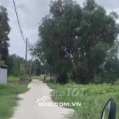 Bán lô đất trồng cây lâu năm (lên được thổ cư) Nhị Bình Hóc Môn