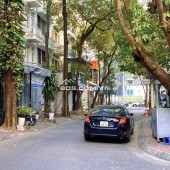 Duy Nhất một căn ! Phân lô mặt ngõ Nguyễn Khánh Toàn, ô tô tránh hoạt động, 80m, Mặt tiền 9m