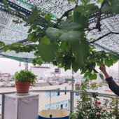 NHÀ HẺM XE HƠI - TRUNG TÂM HẠNH THÔNG GIÁP SÂN BAY - 30M2