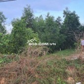 BÁN ĐẤT MẶT TIỀN TỈNH LỘ 823 – VỊ TRÍ ĐẸP, GẦN TRƯỜNG HỌC & TRUNG TÂM HÀNH CHÍNH