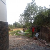 CHÍNH CHỦ CHO THUÊ ĐẤT TRỐNG 600M2 LÀM KHO BÃI XƯỞNG HAY CHĂN NUÔI CHÚC SƠN CHƯƠNG MỸ GIÁ 2TR/TH