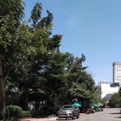 Biệt Thự Liền Kề• Khu Cao Lỗ• Q8• Ngay Siêu Thị Parc Mall• 120M2(6x20)• 6PN• 6WC