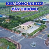 Cần bán gấp lô đất đường ĐH 614 ngay KCN Bàu Bàng