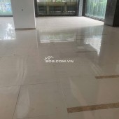 CHO THUÊ MẶT BẰNG TẦNG 1 – 243M² TẠI 6TH ELEMENT, TÂY HỒ TÂY