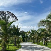 Sổ hồng trao tay những căn Nhà Phố 4 tầng Agora City 112m2 (7x18): 1,8 tỷ. Mr. Long 0931895958