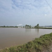 Bán đất nông nghiệp tại vị trí quy hoạch Khu công nghiệp Phụng Hiệp, Thường Tín, Hà Nội