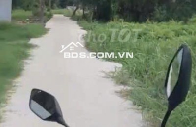 Bán lô đất trồng cây lâu năm (lên được thổ cư) Nhị Bình Hóc Môn