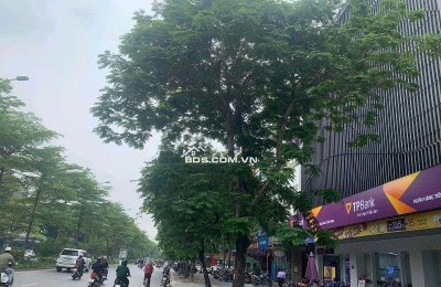 BÁN TÒA VĂN PHÒNG MẶT PHỐ TRUNG TÂM CẦU GIẤY- ĐỐNG ĐA- BA ĐÌNH- MẶT TIỀN SIÊU RỘNG- 245M- 12 TẦNG- HƠN 200TỶ