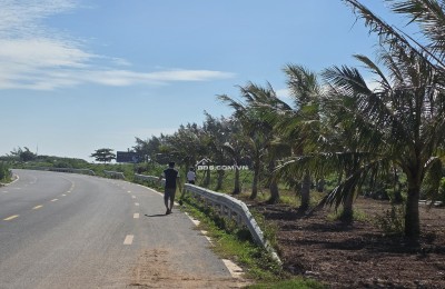 Chính chủ e cần bán gần 700m đất gần khu du lịch nhà thờ đổ nam định