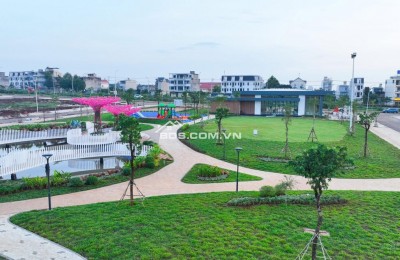 Tuyệt phẩm hiếm tại Dầu Giây – Sản phẩm giới hạn, giá trị bền vững