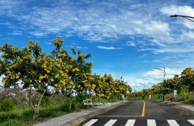 Rời xa khói bụi, về với thiên nhiên – Sở hữu đất biệt thự chuẩn nghỉ dưỡng Bảo Lộc chỉ 1,5 tỷ
