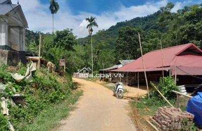 Phát mại tài sản 314m đất tại Thôn Chiềng Mới , xã Văn Nho, tỉnh Thanh Hóa