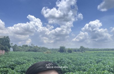 Đất ngộp Bàu Cạn - chính chủ rõ ràng