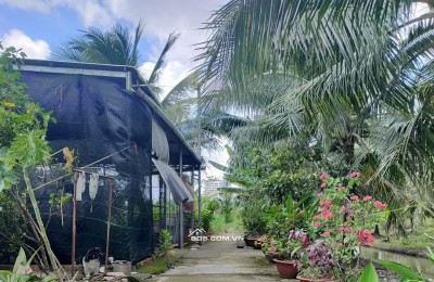 Cần bán gấp đất nền 285m2 Phú Tân, gần chợ Tú Điền – TP Bến Tre, giá cực rẻ