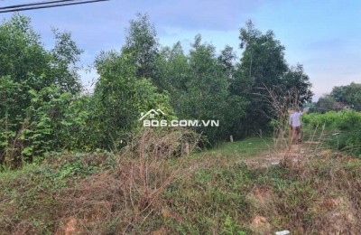 BÁN ĐẤT MẶT TIỀN TỈNH LỘ 823 – VỊ TRÍ ĐẸP, GẦN TRƯỜNG HỌC & TRUNG TÂM HÀNH CHÍNH