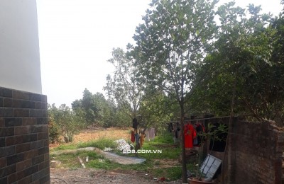 CHÍNH CHỦ CHO THUÊ ĐẤT TRỐNG 600M2 LÀM KHO BÃI XƯỞNG HAY CHĂN NUÔI CHÚC SƠN CHƯƠNG MỸ GIÁ 4TR/TH