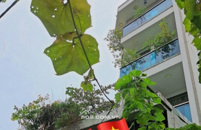 Nhà HXH 5M - Đông Lân, Bà Điểm, Hóc Môn - 7,x tỷ  DT: 7x16m (112m²) - Căn góc 2 mặt thoáng  Kết cấu: 4 tầng, 5PN, 4WC, sân thượng.