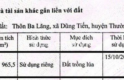 Gia đình bán gần 3 sào đất nông nghiệp (965,5 m2) tại Dũng Tiến, Thường Tín, Hà Nội