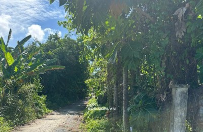 Chính Chủ Cần Bán Gần 1 Công Đất Tại Khu Dân Cư Văn Thắng (Tram y tế TPĐ), Phuờng Sa Đéc, Tỉnh Đồng Tháp.