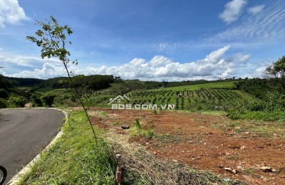 Lô Đất View Rừng Thông 18ha Và Hồ Suối Tự Nhiên - P2 Bảo Lộc