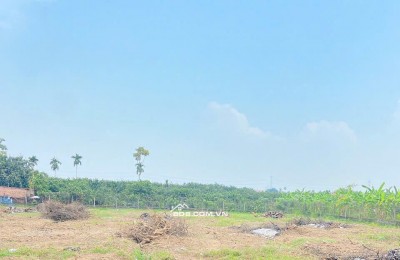 1TY150 – 2 LÔ LIỀN KỀ 8×20 ĐẤT NỀN BIÊN HÒA FULL THỔ, SHR, ĐƯỜNG Ô TÔ