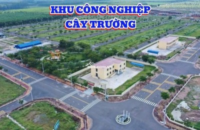 Cần bán gấp lô đất đường ĐH 614 ngay KCN Bàu Bàng