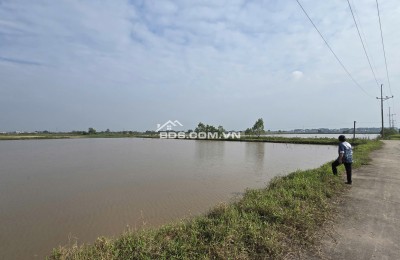 Bán đất nông nghiệp tại vị trí quy hoạch Khu công nghiệp Phụng Hiệp, Thường Tín, Hà Nội