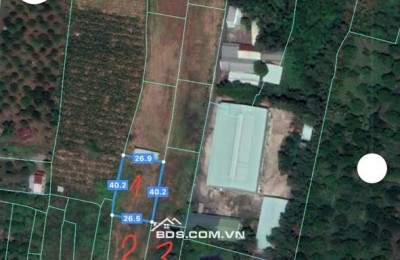 Bán 3 sào đất vuông vức sổ riêng - 500m UBND Sông Thao - Đồng Nai