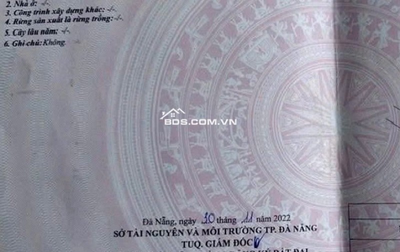 Bán lô đất Trần Quý Khoách - trục thông Hồ Tùng Mậu -DT 90m2