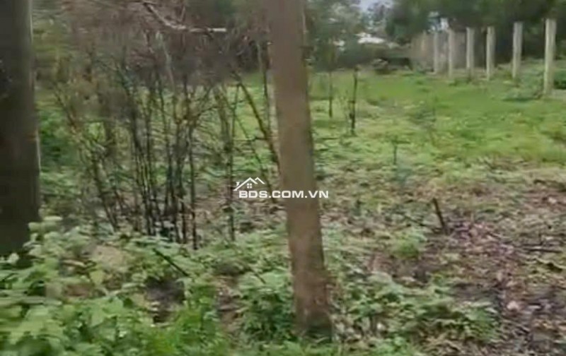 Chính Chủ Bán 1167,3m2 Đất Tại Xã Nghĩa Thuận, Huyện Tư Nghĩa, Tỉnh Quảng Ngãi.