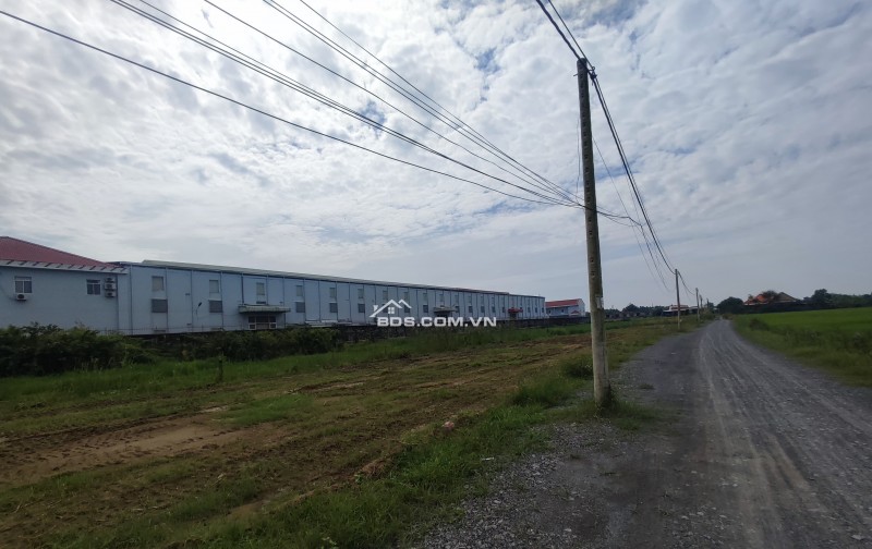 Đất nền Cần Giuộc, giá chỉ 7,5 triệu/m2 gần ngã tư Chợ Trạm