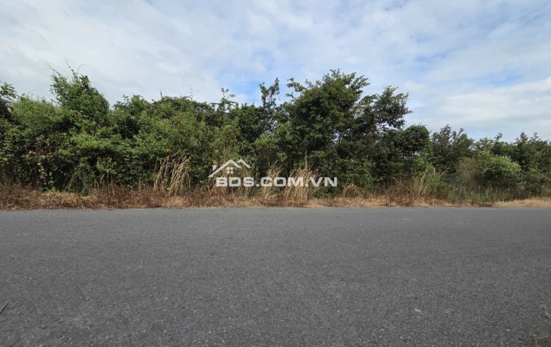 BÁN 1732 M² ĐẤT ĐƯỜNG PHẠM VĂN CỘI CỦ CHI. GIÁ 12TR/M2. LH:0906735462