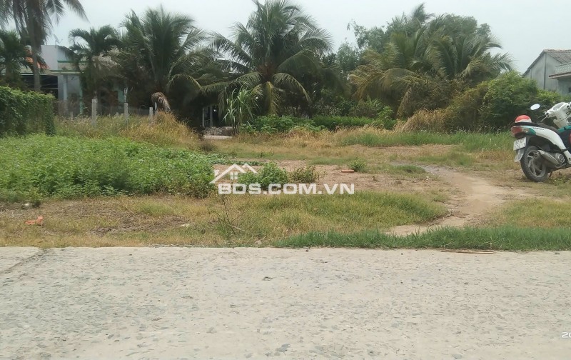 Chính Chủ Bán 229m2 Đất Tại Đường ĐT. 818, Xã Nhị Thành, Huyện Thủ Thừa, Long An