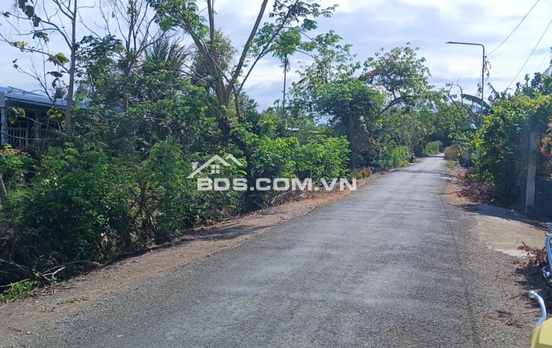 Bán 2 Công đất đường Xe 16 chỗ gần.Lộ Xoài. Ranh Mỹ Tho-Song Bình Chợ Gạo.