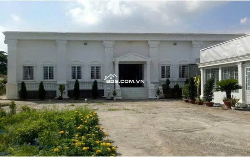 Chính Chủ Bán Gấp 1,554m2 Đất Mặt Tiền QL1A, xã Nhị Thành, huyện Thủ Thừa, Long An