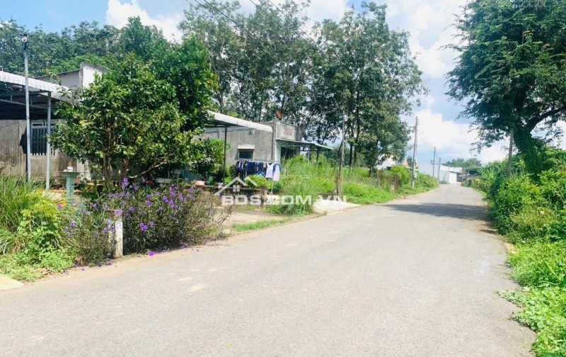  GIÁ RẺ KHÓ TIN! ĐẤT GẦN KCN MINH HƯNG – THỔ CƯ – SỔ SẴN