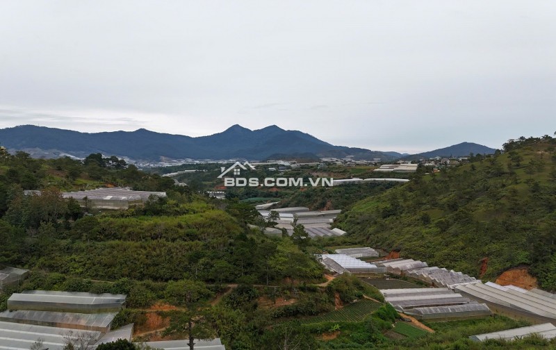 Cho thuê văn phòng tại Cantavil Premier, Tầng 9 – An Phú, TP. Thủ Đức (Q2 cũ), TP. HCM