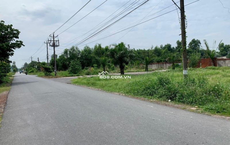 BÁN GẤP 5 LÔ 25X50=1250M2 SHR TC, ĐƯỜNG 42M, DÂN CƯ ĐÔNG ĐỐI DIỆN KCN GIÁ 110TR