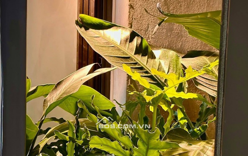 Bán Căn Chung Cư Mi Ni Đường Láng, Đống Đa 70m, tầng 1, giá 3.25 tỷ.