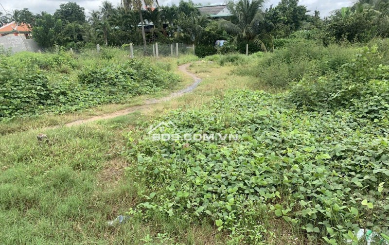 Chính Chủ Bán 229m2 Đất Tại Đường ĐT. 818, Xã Nhị Thành, Huyện Thủ Thừa, Long An