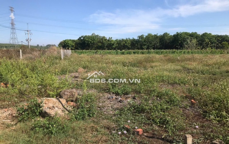  CHỈ 579 TRIỆU – 100M² THỔ CƯ TẠI GIA TÂN 2 – GẦN ĐỨC MẸ NÚI CÚI