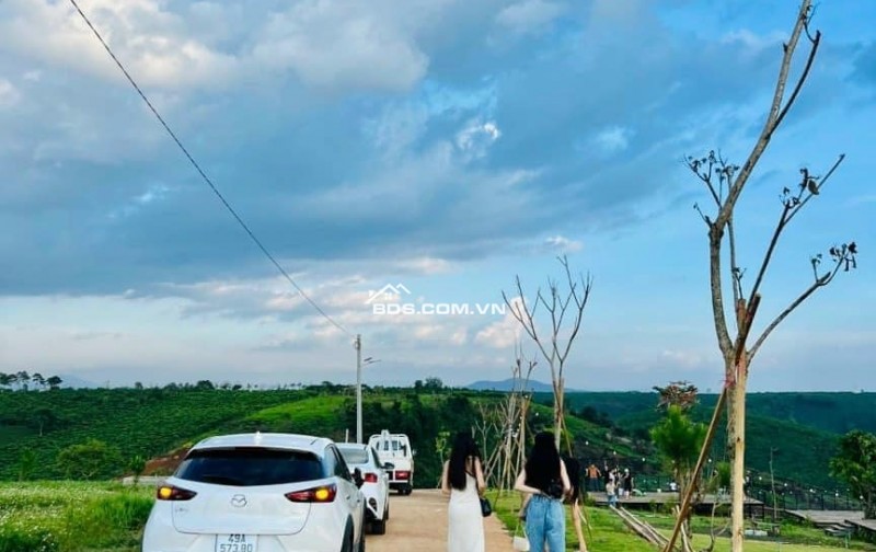 Làng  Omm 2, Khách thiện trí  booking nhận ngay 2 chỉ vàng.