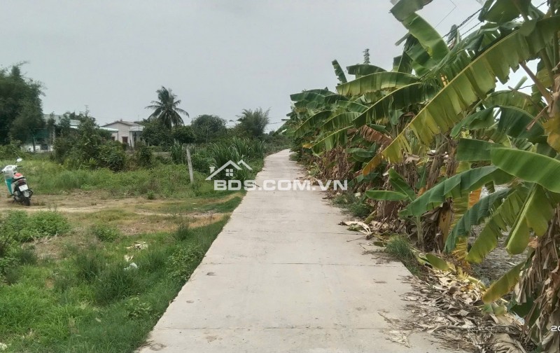 Chính Chủ Bán 229m2 Đất Tại Đường ĐT. 818, Xã Nhị Thành, Huyện Thủ Thừa, Long An