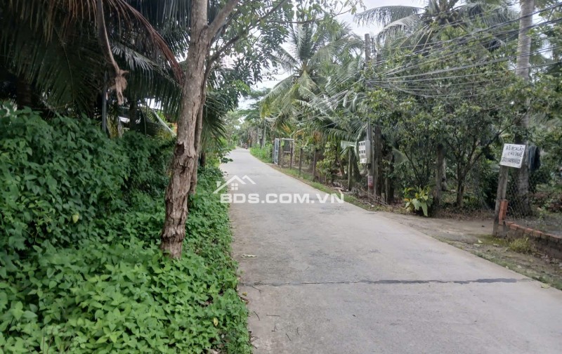 Bán 2 Công đất đường Xe 16 chỗ gần.Lộ Xoài. Ranh Mỹ Tho-Song Bình Chợ Gạo.