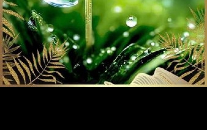 Đất xây dựng cao tầng THÁP CHDV. TOÀ NHÀ VĂN PHÒNG CTY tại Quận 7