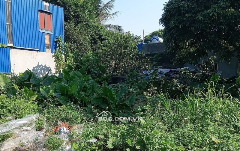 BÁN ĐẤT ĐẸP 1.15 TỶ 51M2 ( 5.8X8.8 ) NGÕ RỘNG ĐƯỜNG VĂN CAO