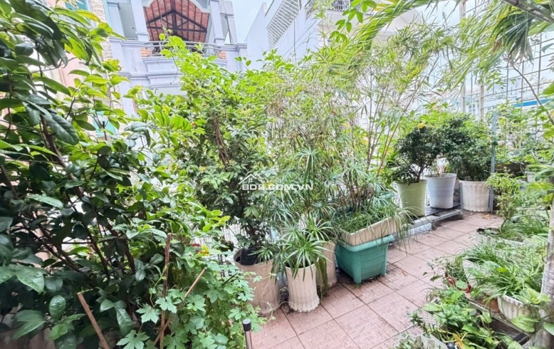 Gấp bán Trung Tâm Q.10 - Thành Thái - 45m2 hẻm xe hơi tránh - 11ty