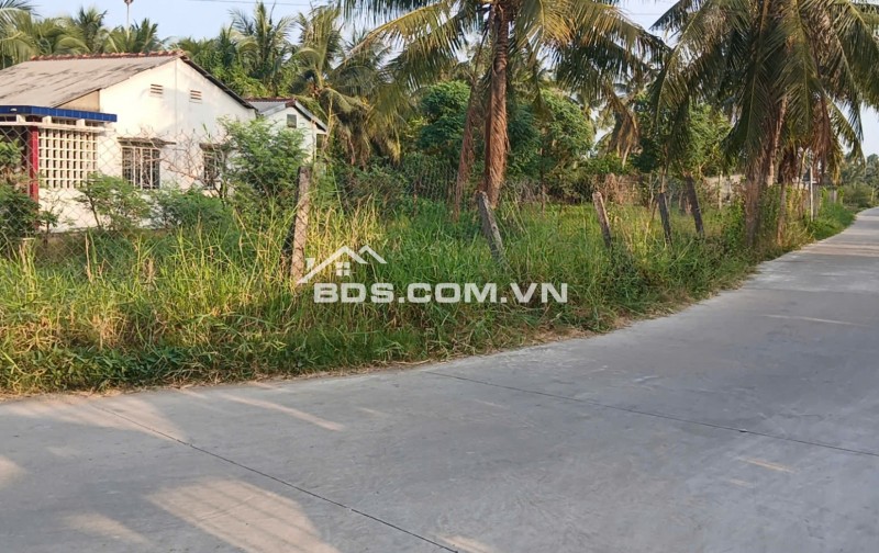 Ngay sát QL1A. Cách Cầu Rượu Tiền Giang 300m. Bán rẻ 3 lô đất THỔ CƯ liền kề Hơn 900m2.